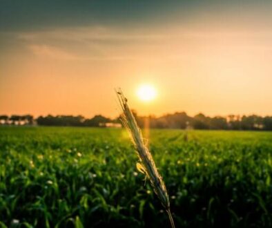 how to live life more abundantly